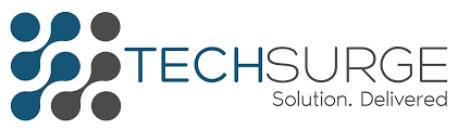 TechSurge logo